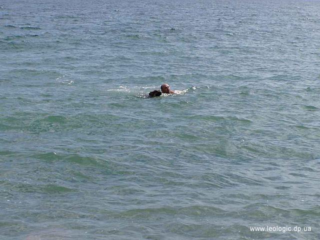 Photo60