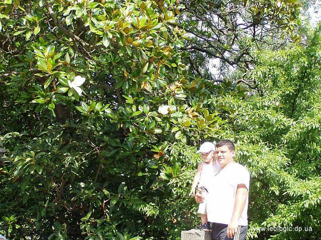 photo077