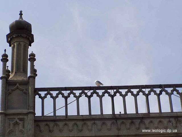 photo096
