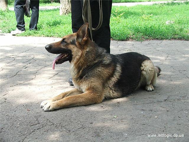 p0000037