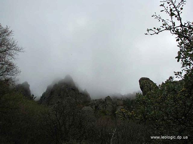 IMG 0535