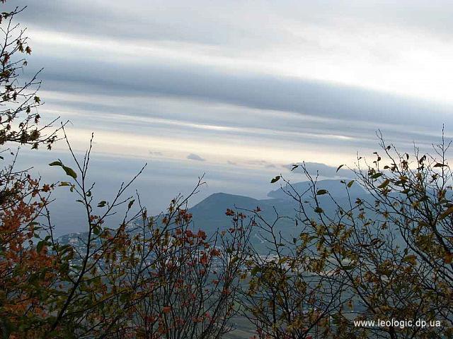 IMG 0607