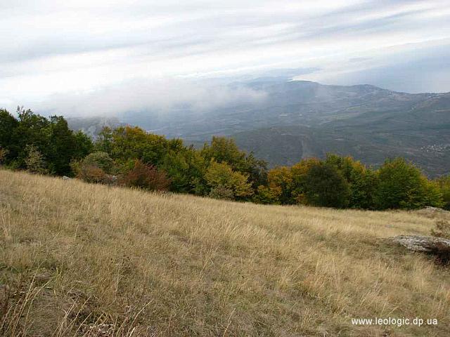 IMG 0622