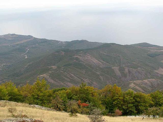 IMG 0623