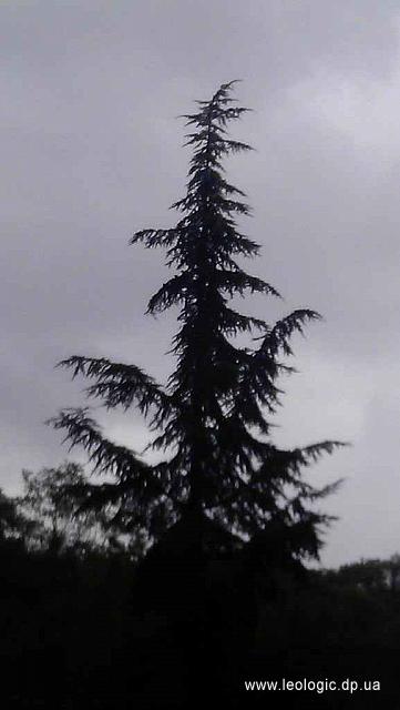 IMAG3284