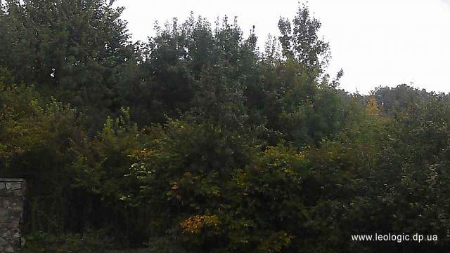 IMAG3285