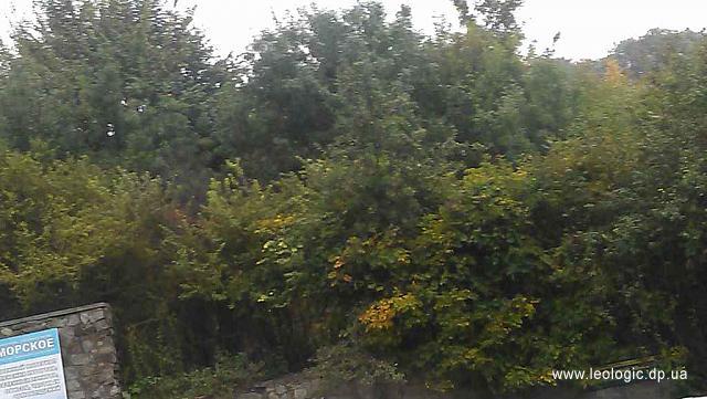 IMAG3286