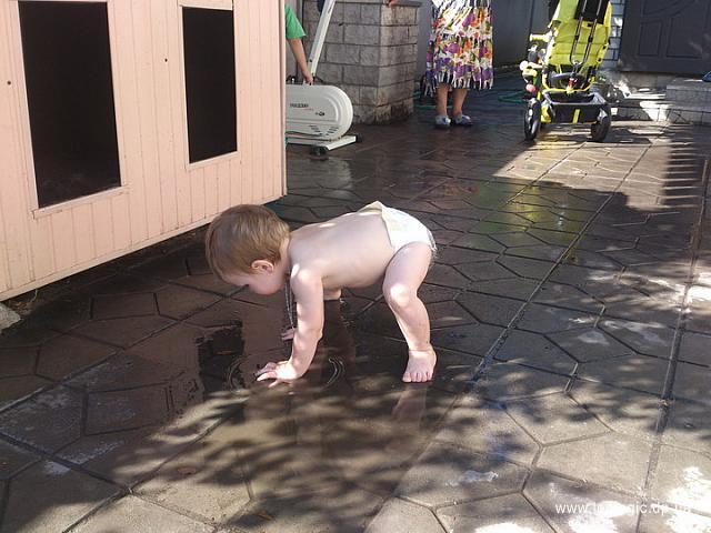 photo12
