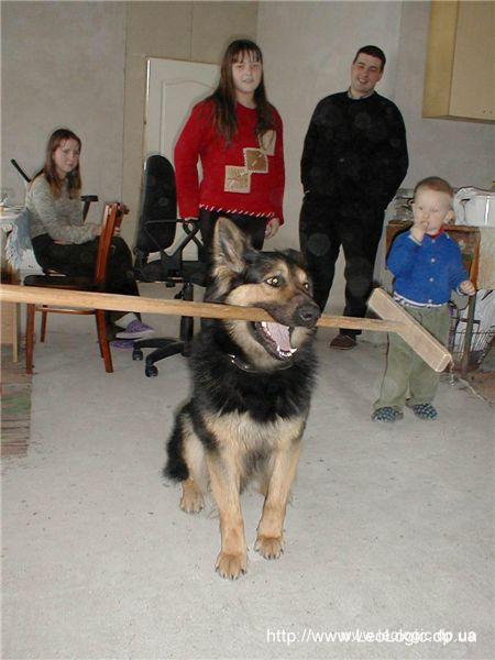 p0000010