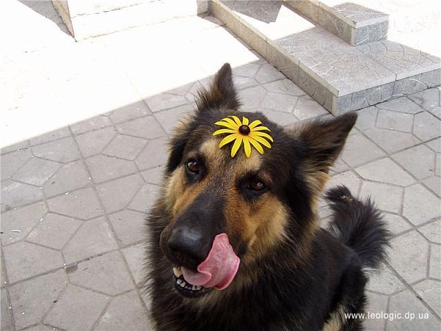 p0000001