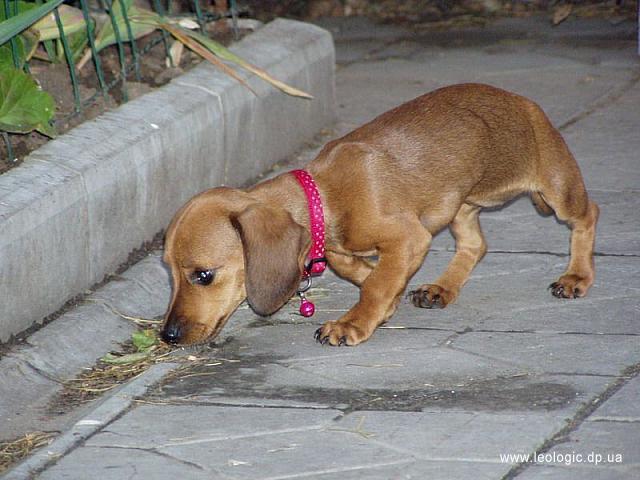 p0000006