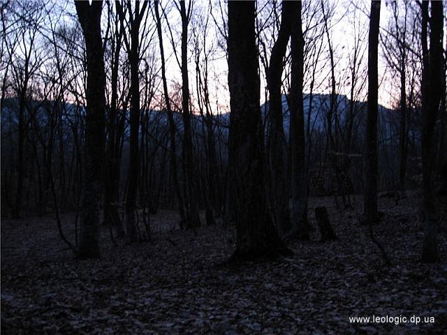 p0000246