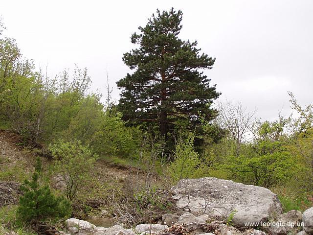 photo01