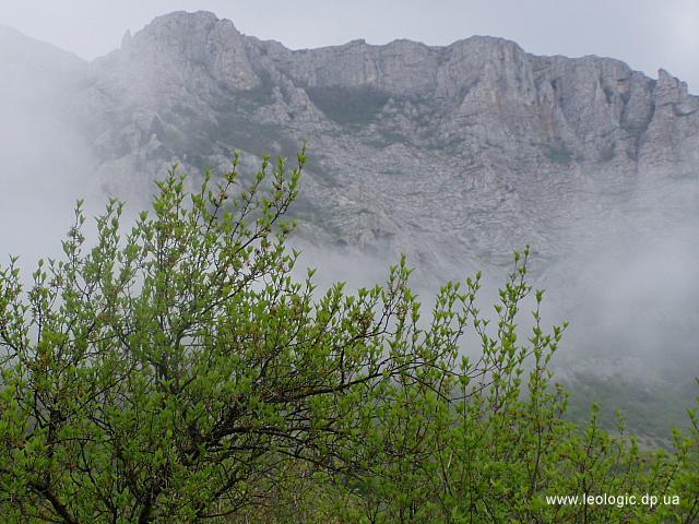 photo06