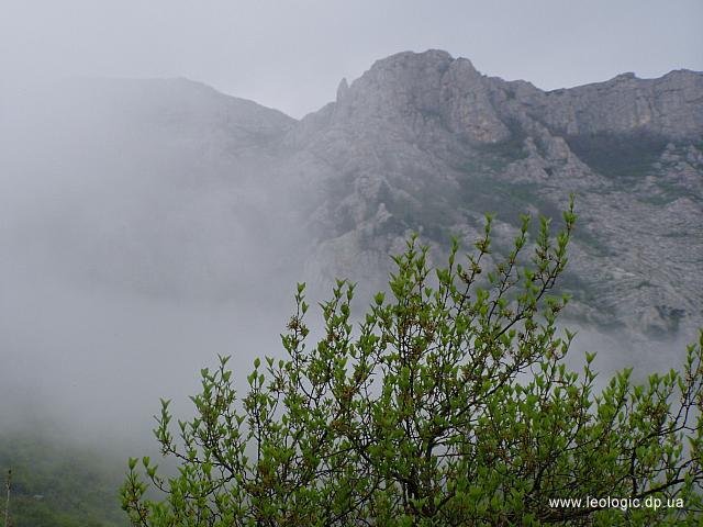 photo07