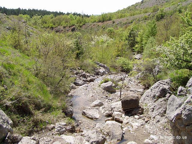 photo12