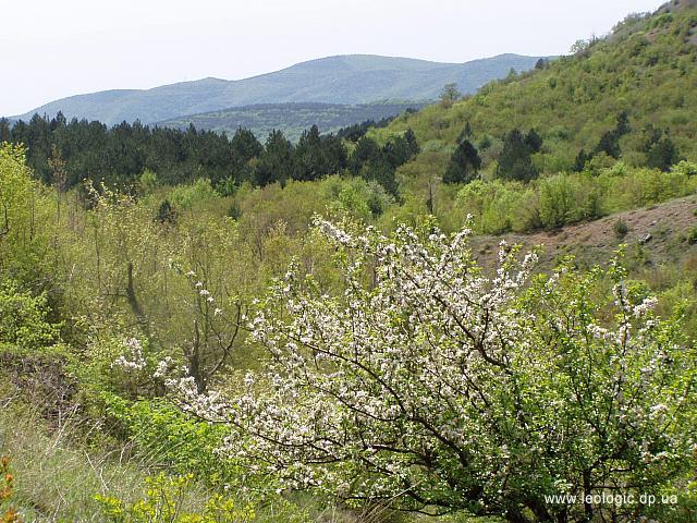 photo21