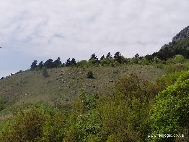 photo24