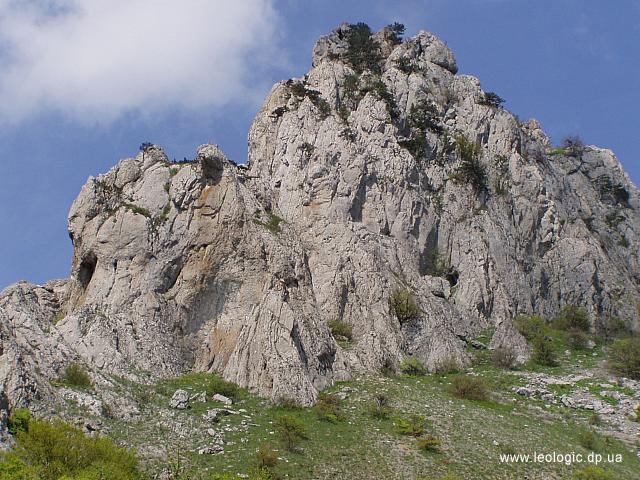 photo35