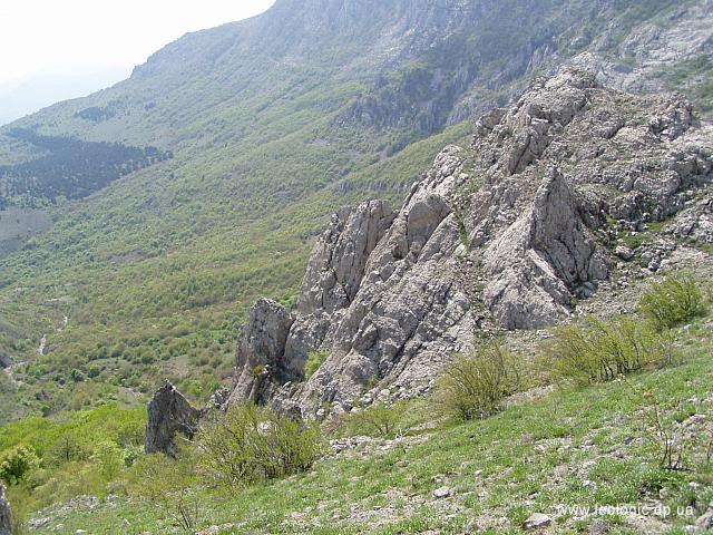 photo41