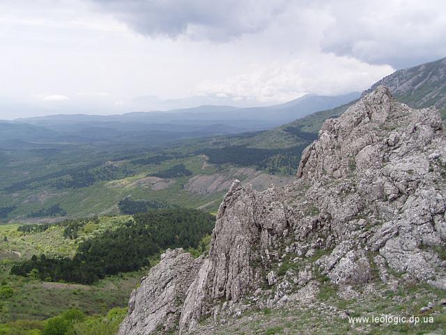 photo46