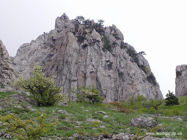 photo47