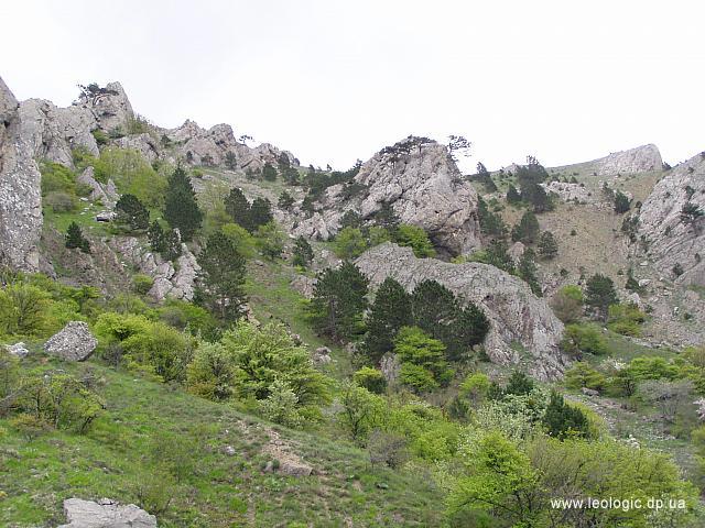 photo51