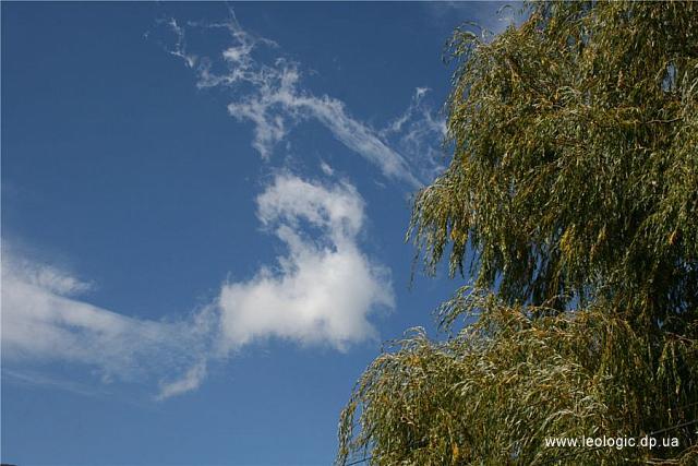 p0000004