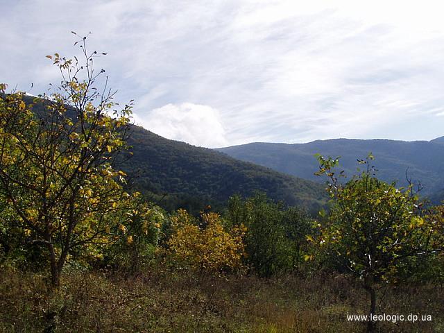 photo003