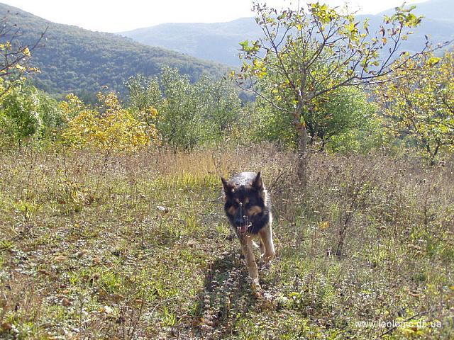 photo005