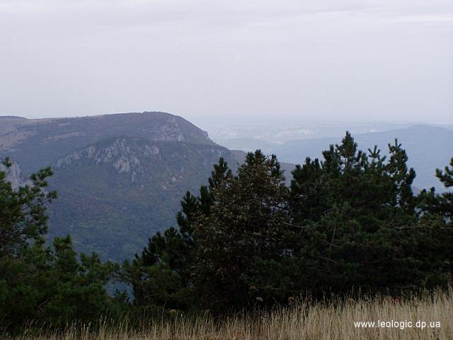 photo011