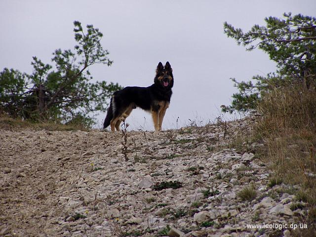 photo012