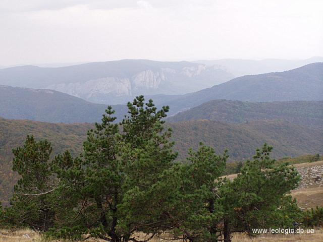 photo014