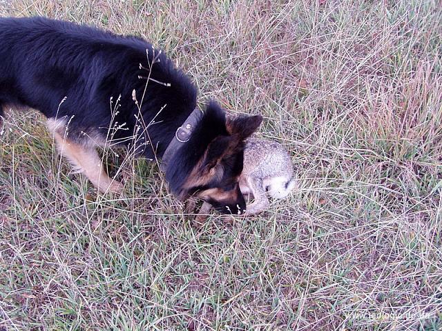 photo029
