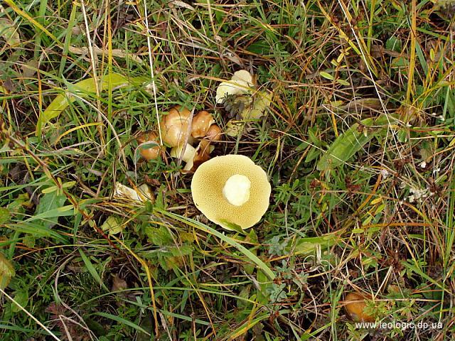 photo032