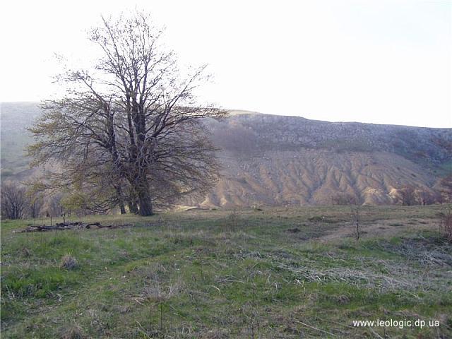 p0000069