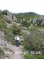 IMG 0529