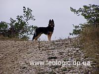 photo012